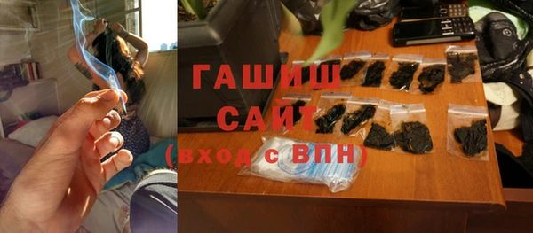 гидра Надым