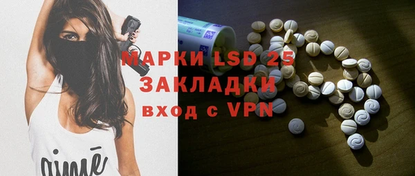 гидра Надым