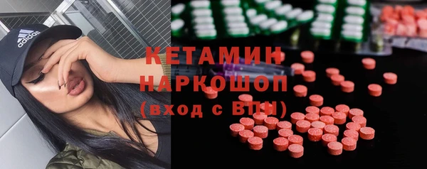 гидра Надым