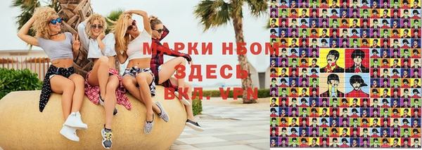 гидра Надым