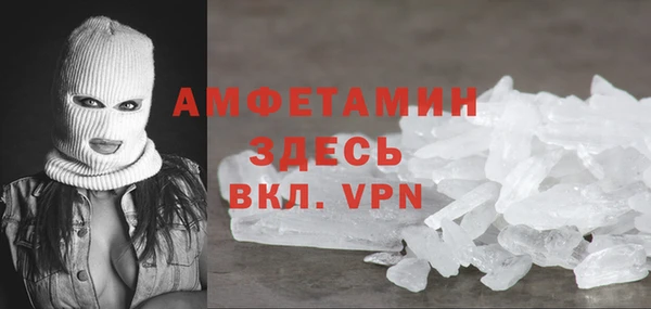 гидра Надым