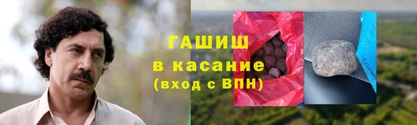 гидра Надым