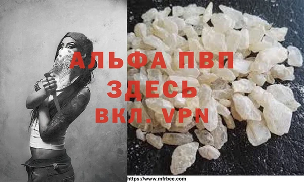 гидра Надым
