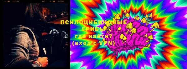 гидра Надым