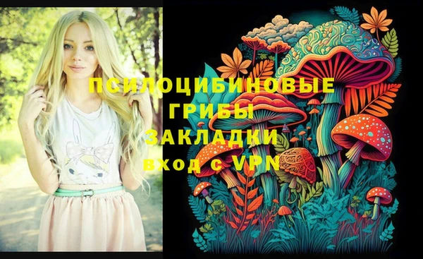 гидра Надым