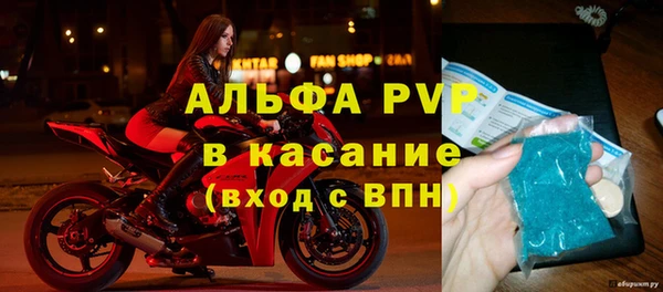гидра Надым