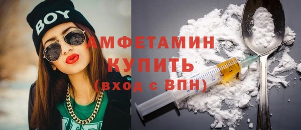 гидра Надым