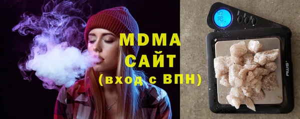 прущие грибы Апатиты