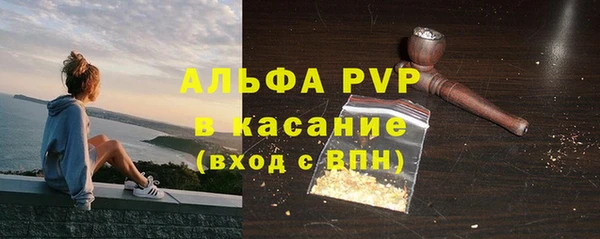 гидра Надым