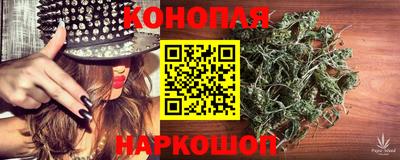 прущие грибы Апшеронск