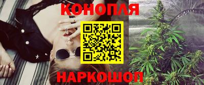 прущие грибы Апшеронск