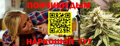 прущие грибы Апшеронск