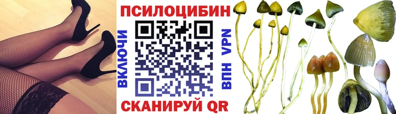 Галлюциногенные грибы Psilocybine cubensis  OMG сайт  Баксан 