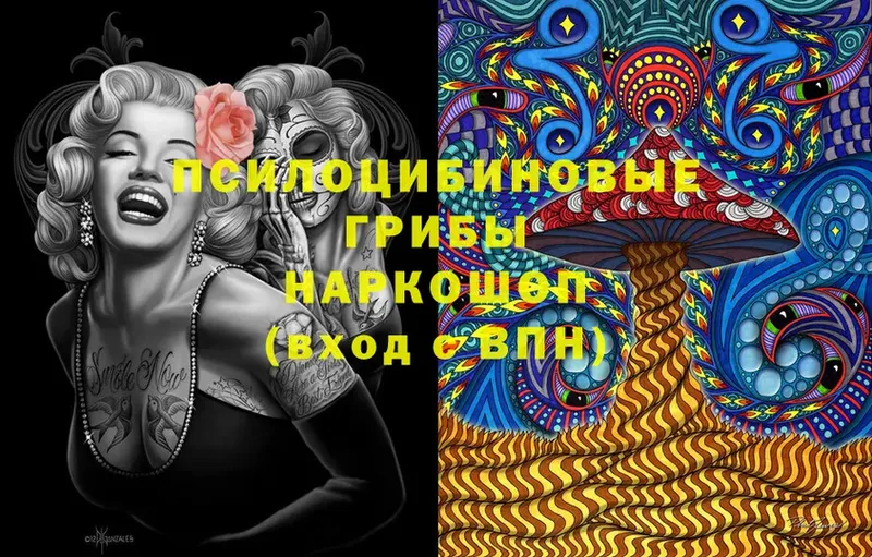 Галлюциногенные грибы Cubensis Баксан