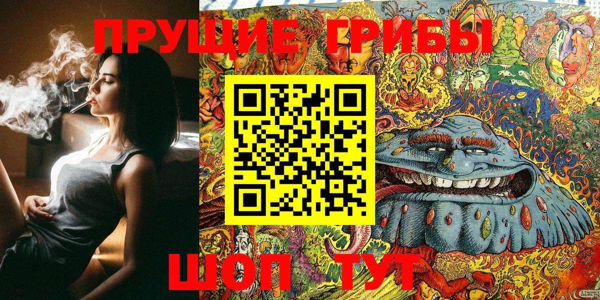 Псилоцибиновые грибы Psilocybine cubensis Баксан